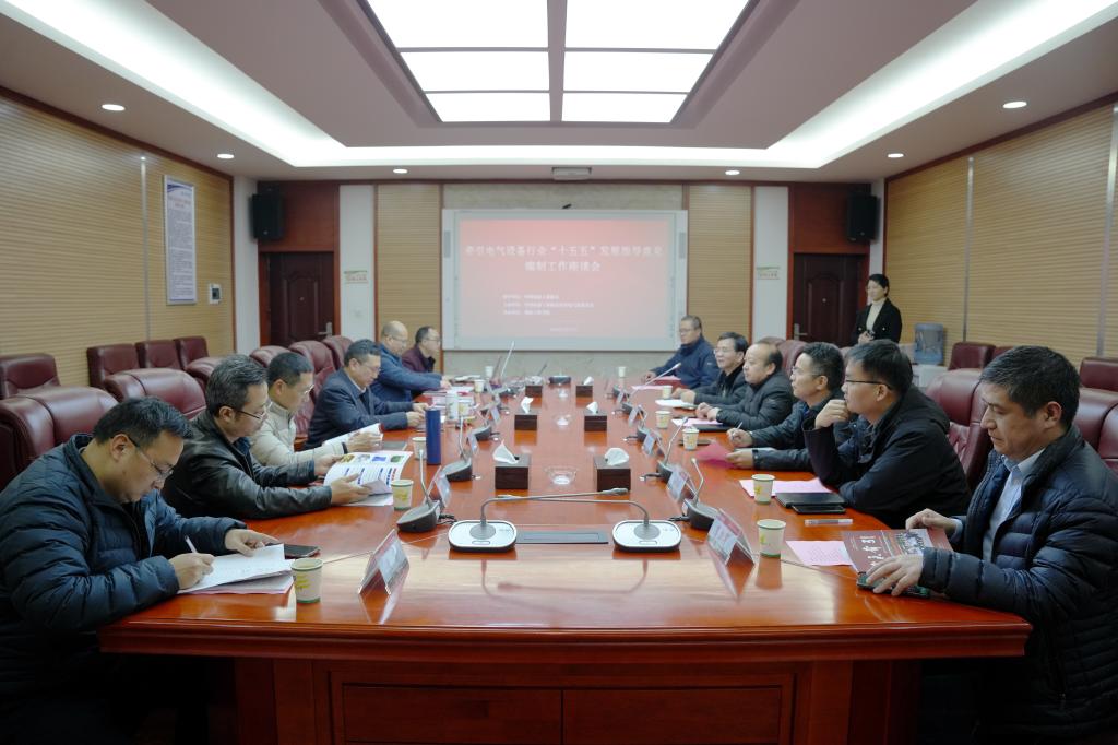 ?匯聚行業(yè)智慧 共謀創(chuàng)新發(fā)展——我校主辦《牽引電氣設(shè)備行業(yè)“十五五”發(fā)展指導(dǎo)意見(jiàn)》編制座談會(huì)